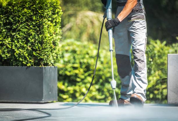 Animal Enclosure Cleaning in Mount Dora, FL